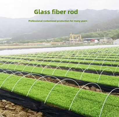 Apoio de pouco peso da fibra de vidro FRP Rod For Agricultural Greenhouse Tunnel